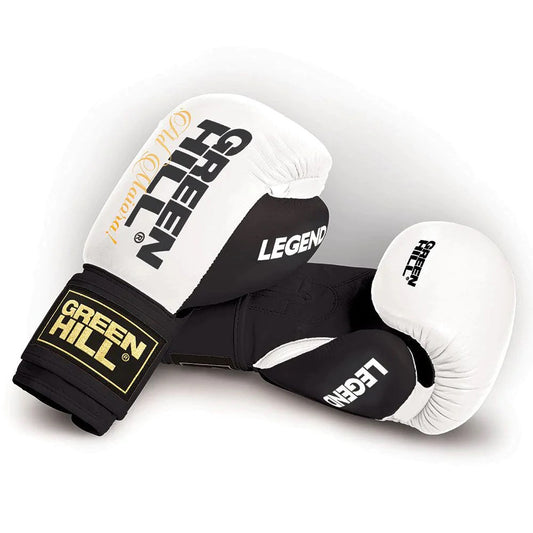 LEGEND Boxing Gloves