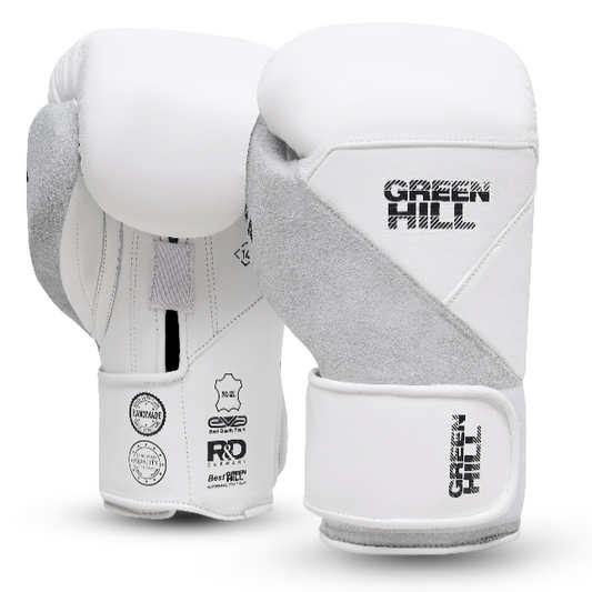 AURORA Boxing Gloves