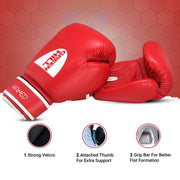 Boxing Gloves HAMED W/O TARGET