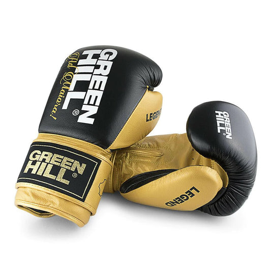 LEGEND Boxing Gloves